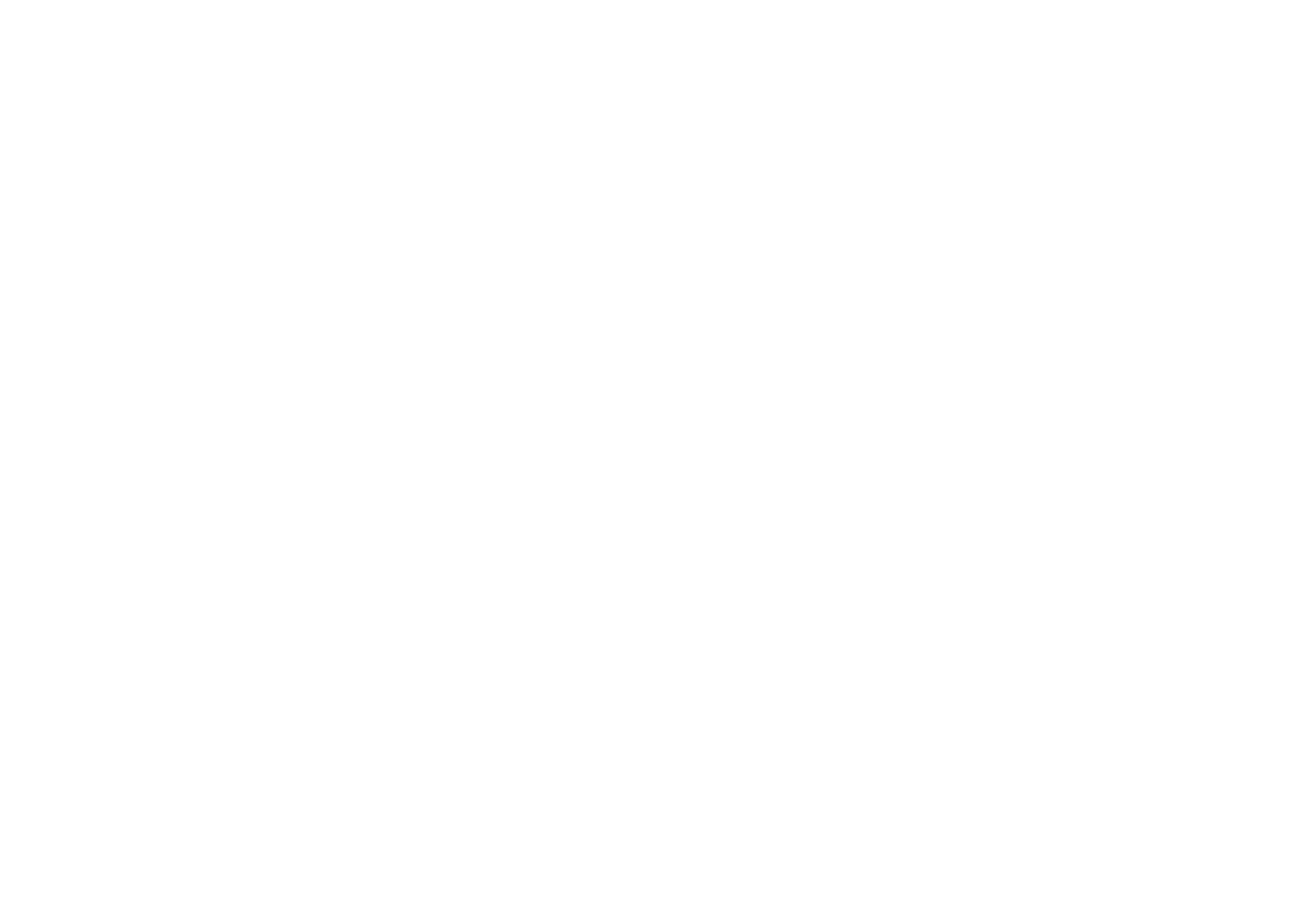 RF MOTORS